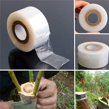 Grafting Tape 1.5 inch x 100 Meter