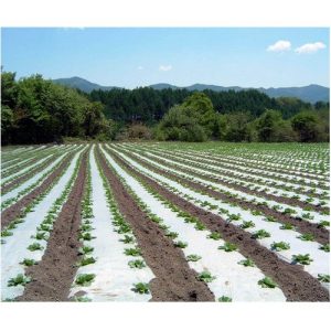 White / Black Mulching Film 30 Micron 4 feet 400 Meter