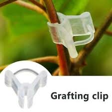 Grafting Clip 4 to 6mm adjustable