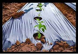 Siddhi Mulching Film center Hole 30 Micron 3.25 Feet 400 Meter