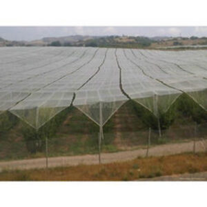 ANTI HAIL NETS 3m width x 200m length