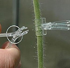 Grafting Spring Clip glass material